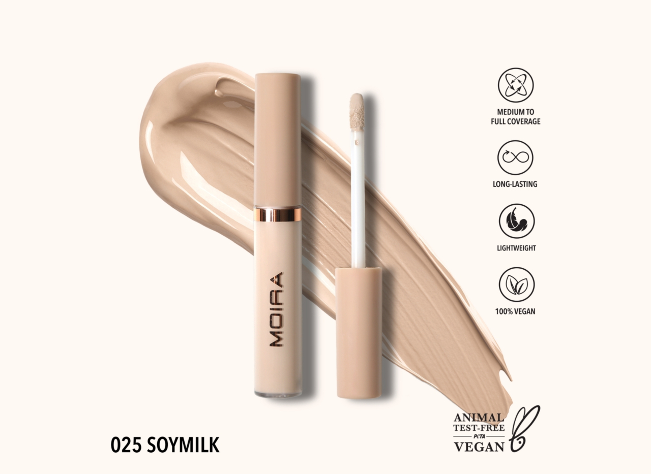 Lavish Creamy Concealer